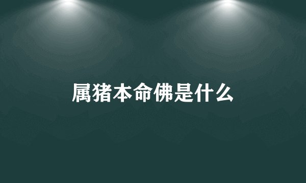 属猪本命佛是什么