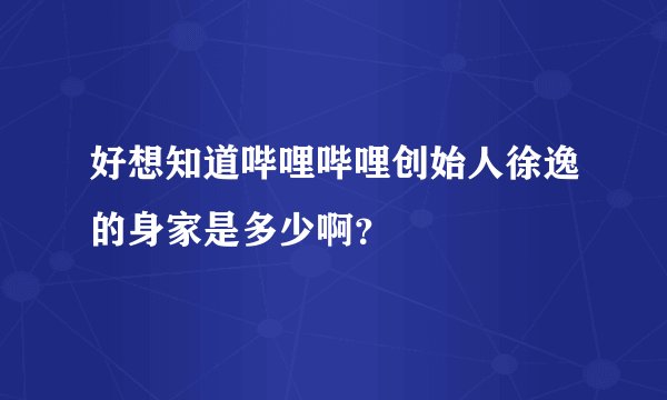 好想知道哔哩哔哩创始人徐逸的身家是多少啊？