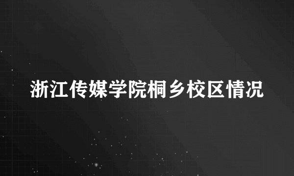 浙江传媒学院桐乡校区情况