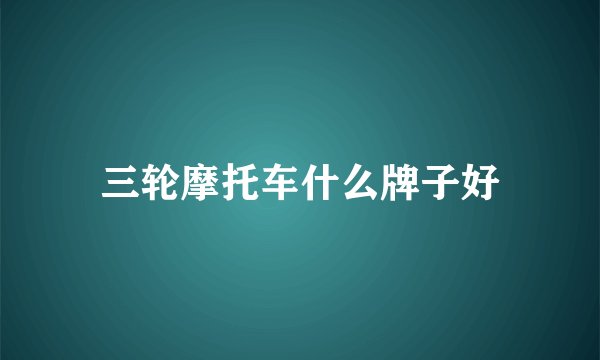 三轮摩托车什么牌子好