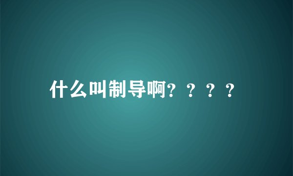 什么叫制导啊？？？？