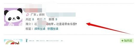 新浪微博搜索引擎在哪啊