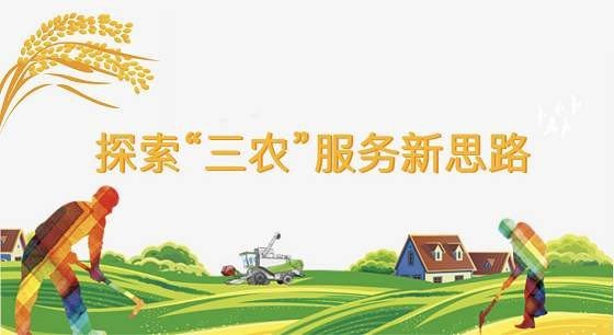 三农到底指哪三农？