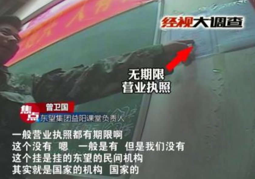 东望集团是什么组织