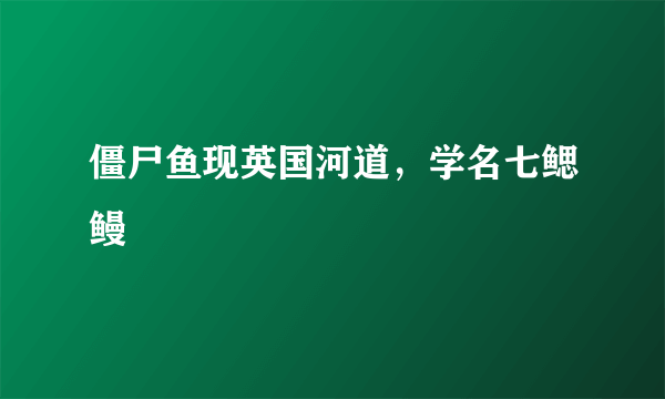 僵尸鱼现英国河道，学名七鳃鳗