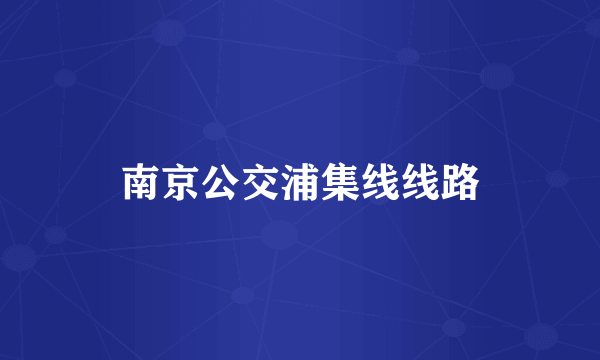 南京公交浦集线线路