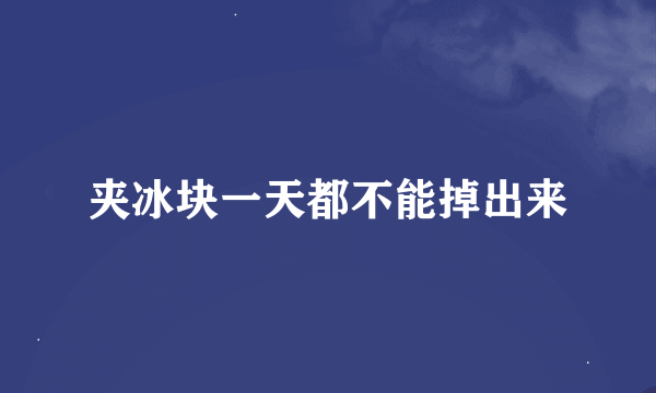夹冰块一天都不能掉出来