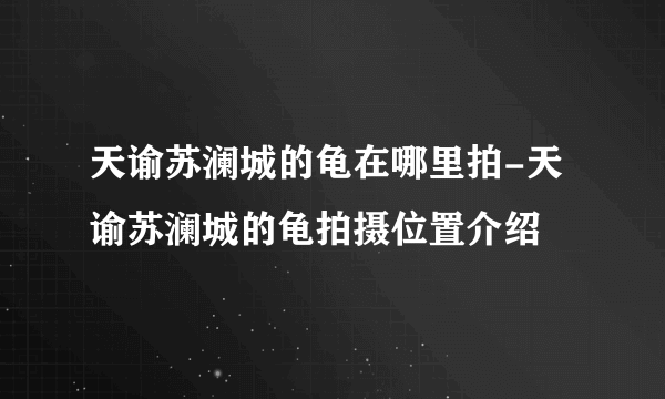 天谕苏澜城的龟在哪里拍-天谕苏澜城的龟拍摄位置介绍
