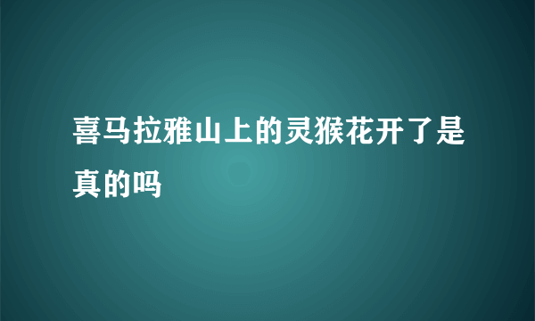 喜马拉雅山上的灵猴花开了是真的吗