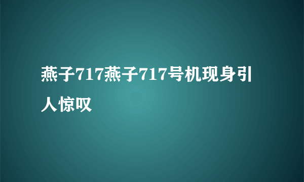 燕子717燕子717号机现身引人惊叹