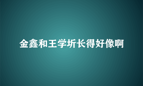 金鑫和王学圻长得好像啊