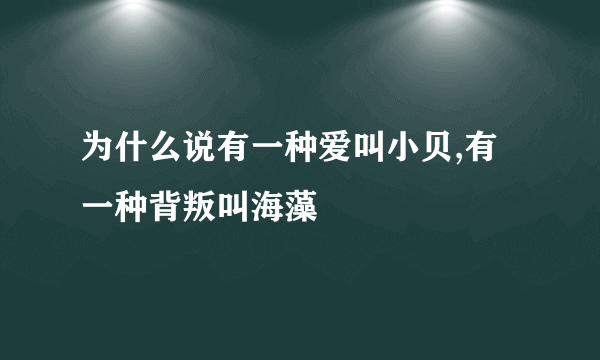 为什么说有一种爱叫小贝,有一种背叛叫海藻