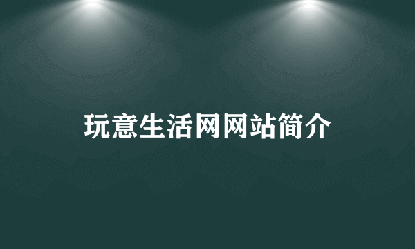玩意生活网网站简介