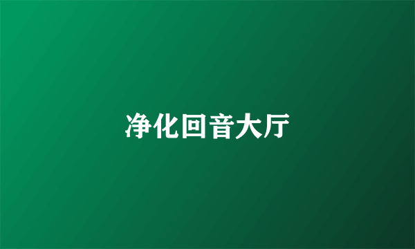 净化回音大厅