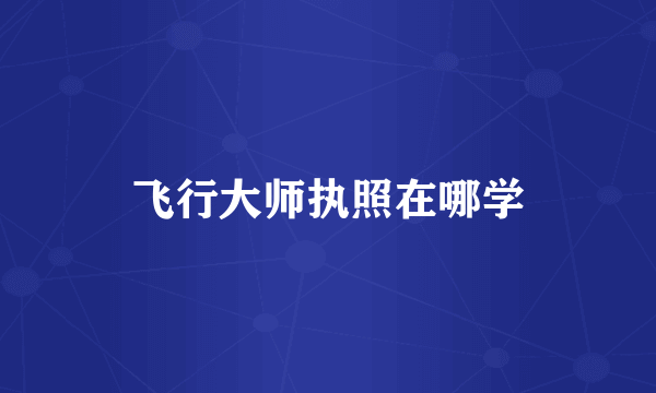 飞行大师执照在哪学