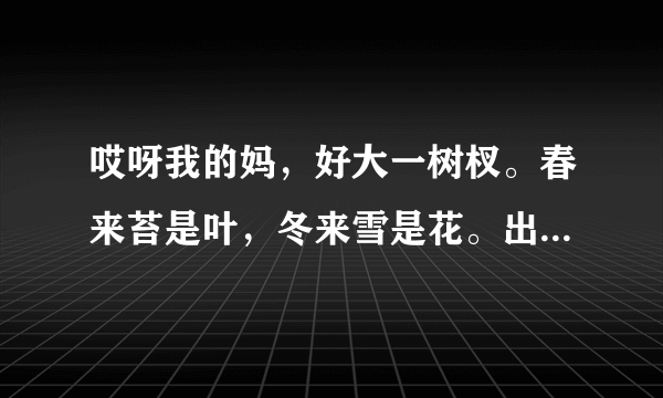 哎呀我的妈，好大一树杈。春来苔是叶，冬来雪是花。出自哪里？