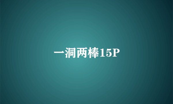一洞两棒15P