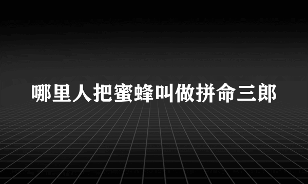 哪里人把蜜蜂叫做拼命三郎