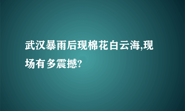 武汉暴雨后现棉花白云海,现场有多震撼?