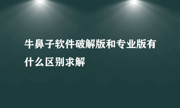 牛鼻子软件破解版和专业版有什么区别求解