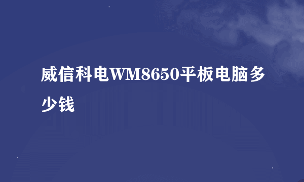 威信科电WM8650平板电脑多少钱