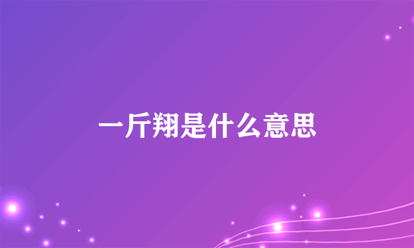 一斤翔是什么意思