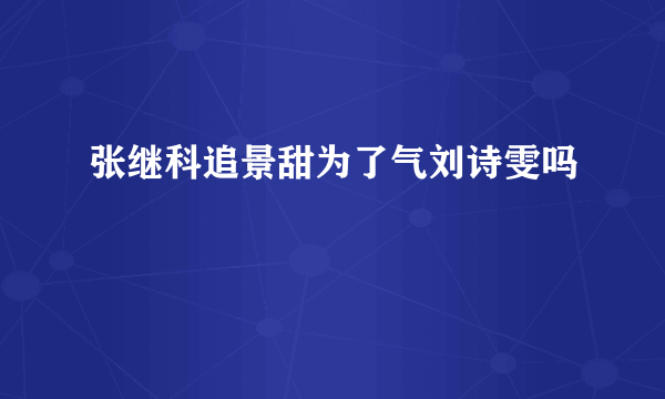 张继科追景甜为了气刘诗雯吗