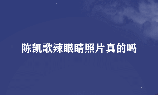 陈凯歌辣眼睛照片真的吗