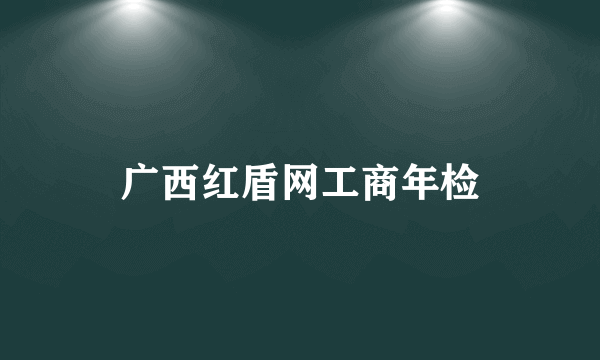 广西红盾网工商年检
