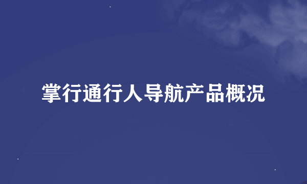 掌行通行人导航产品概况