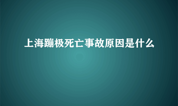 上海蹦极死亡事故原因是什么