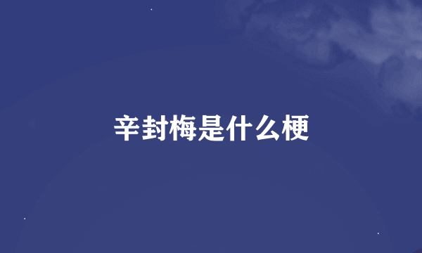 辛封梅是什么梗