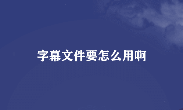 字幕文件要怎么用啊