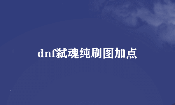 dnf弑魂纯刷图加点