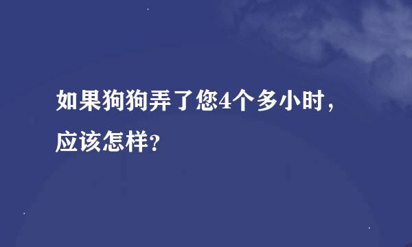 如果狗狗弄了您4个多小时，应该怎样？