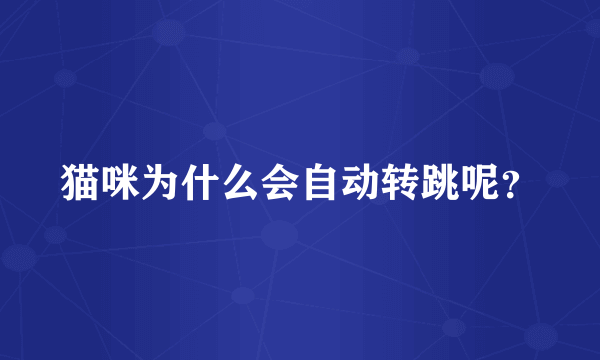 猫咪为什么会自动转跳呢？