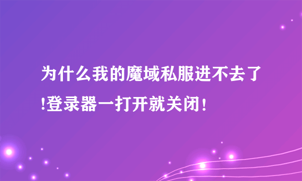 为什么我的魔域私服进不去了!登录器一打开就关闭！