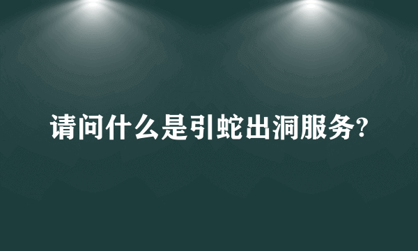 请问什么是引蛇出洞服务?