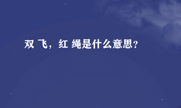 双 飞，红 绳是什么意思？