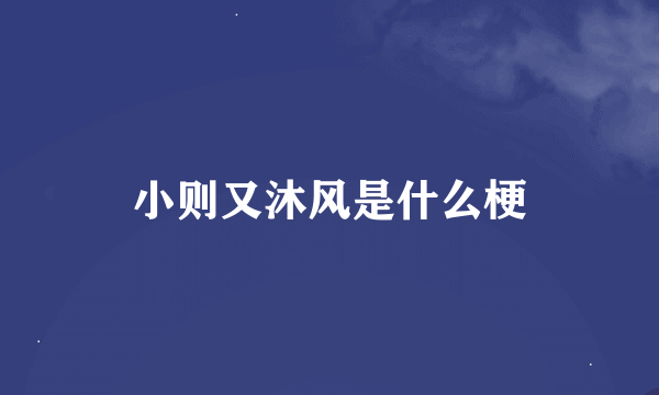 小则又沐风是什么梗