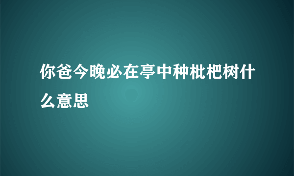 你爸今晚必在亭中种枇杷树什么意思