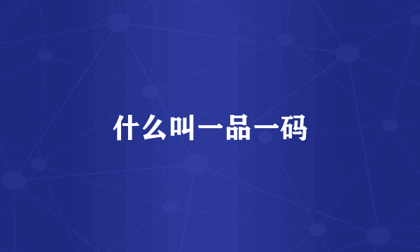 什么叫一品一码