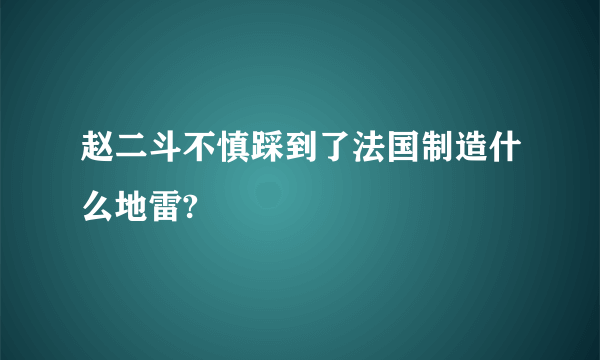 赵二斗不慎踩到了法国制造什么地雷?