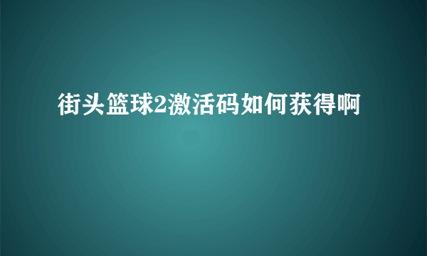 街头篮球2激活码如何获得啊