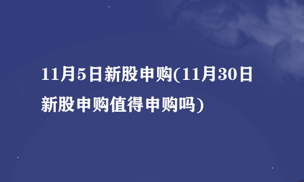 11月5日新股申购(11月30日新股申购值得申购吗)