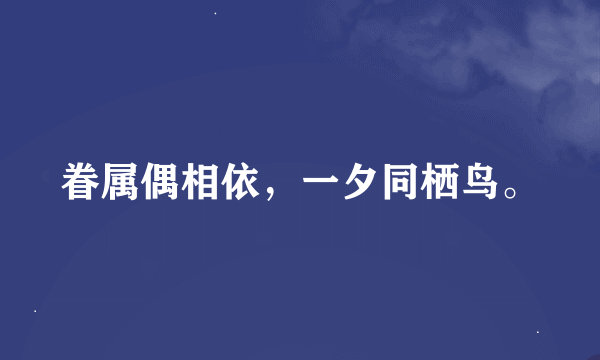 眷属偶相依，一夕同栖鸟。