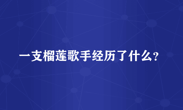 一支榴莲歌手经历了什么？
