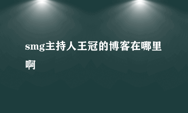 smg主持人王冠的博客在哪里啊