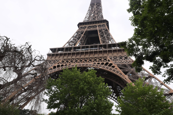 百日巴黎是真人真事吗