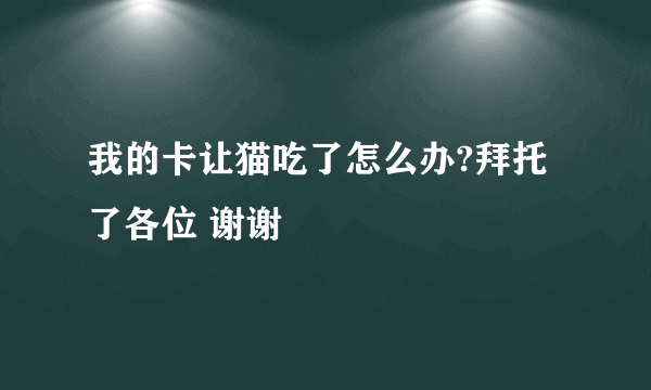 我的卡让猫吃了怎么办?拜托了各位 谢谢